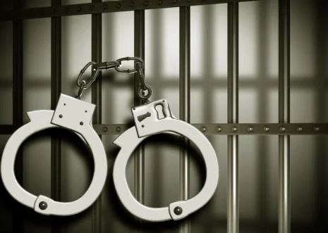 J&K: 2 associates of Khauf gang arrested