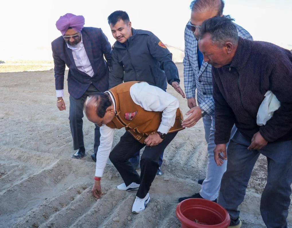 Saffron Cultivation Begins In Ladakh In First Major Crop Diversification Experiment