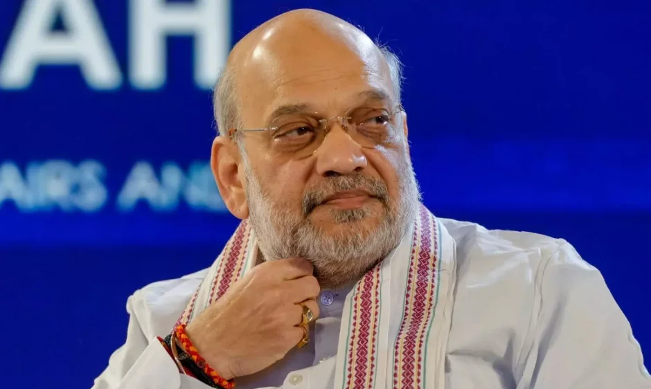Hindi's Progress Must Go Along With Protection of Other Indian Languages: Amit Shah