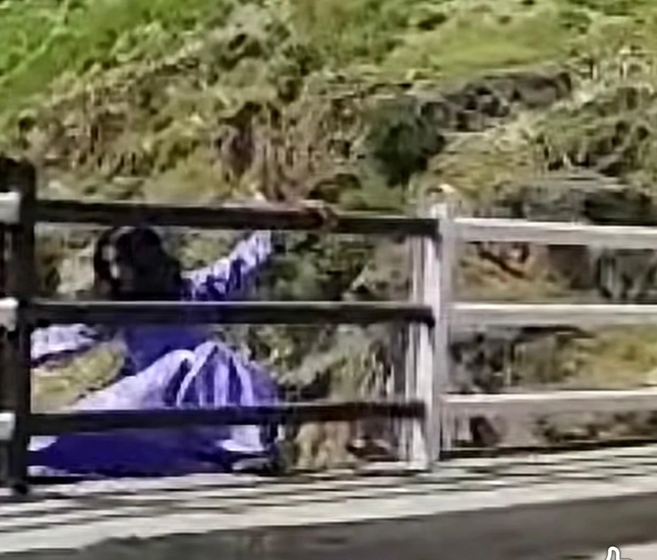 Young Girl Reportedly Jumps Into Chenab River in Doda, Search Operation Underway
