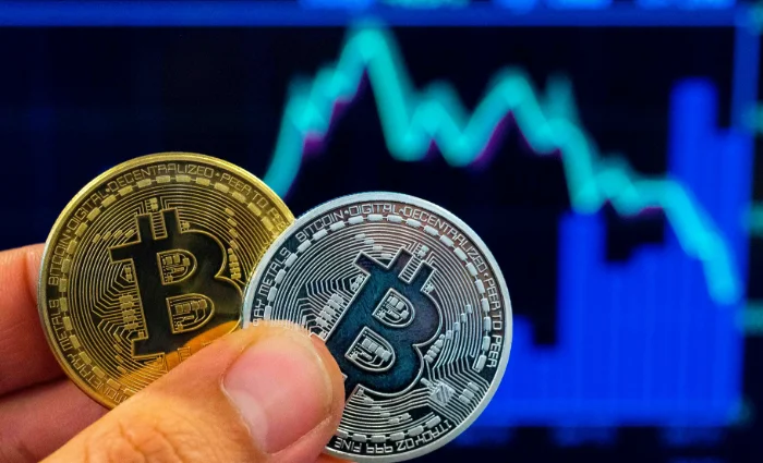 Jalna EOW Arrests Man In Rs 4.3-Cr Cryptocurrency Investment Fraud Case
